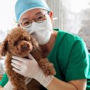 BB 동물병원 이미지