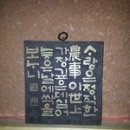 특허로 만나는 우리 약초 이미지