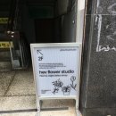 조은피드 | 대구 삼덕 신상 카페 henade (헤브플라워스튜디오) 가오픈 후기 -컵 플라워까지 받음🌼