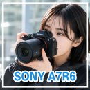 소니 신제품 카메라 A7R6 후기 A7M4 비교 리뷰