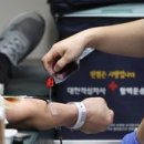 주식회사 더청렴 이미지