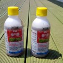 늘푸른게스트하우스 이미지