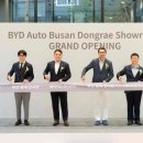 코리아 카 서비스 이미지