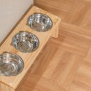 태안 알로하오에 애견풀빌라 이미지