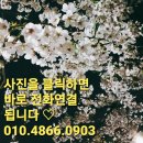 원앙커텐 - 포항시 북구 죽도시장1길 6 | 원앙커텐