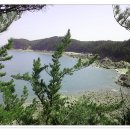 솔향기공원 이미지