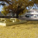 부남초등학교 이미지