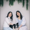 시크릿하우스 이미지