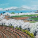 완도20호 이미지