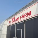 일호농장 | 새로 오픈한 파주 딸기 수확 체험 딸기드림팜 내돈내산 후기