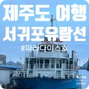 뉴파라다이스 | 제주도 여행 서귀포 유람선 뉴 파라다이스호 탑승 후기