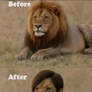 경기도 수원시 영통구 권선로 882번길 이미지