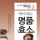 효소지음