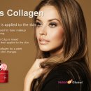 Queens Collagen 이미지