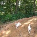 남식농장 이미지