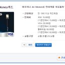 제주지니 에어머니 플래티늄카드 대한항공 1+1, 롯데렌터카 이용 후기