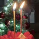 개야농장 | 크리스마스에는 눈이 왔을까요