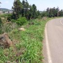 산양보건진료소 이미지