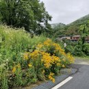단양엘림펜션민박 | 충북단양숙소, 단양독채로 유명한 소선암황토마을 도담삼봉 2층 장마철 비 오는 날 경치 대박이네요