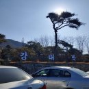 용닭