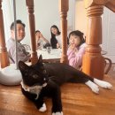 문산 동물병원 이미지