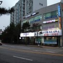 소나무공인중개사사무소 이미지