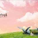 동막골 - 광산구 월곡중앙로 31 | 동막골