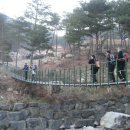 본디올소나무한의원 티스토리
