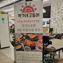 박가네집밥 | 명동 한정식 박가네고등어 명동대신파이낸스센터점 을지로 생선구이 맛집 추천 후기