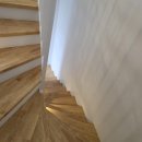 비마이아일랜드 이미지