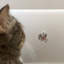 스카이덴트 | 26년 1월.