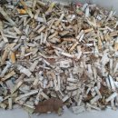 보리노래연습장 이미지