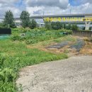 이영호 농장 이미지