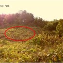 경인로1133 이미지