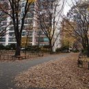 미성공인중개사사무소 이미지