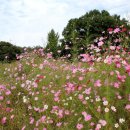 시천경로당 이미지