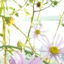 콘서트 내시십분 이미지