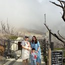 여주-0521 | [일본여행] 도쿄여행 2일차 | 마이리얼트립 하코네 당일 투어 후기(+고텐바아울렛)