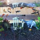 작은동물원 이미지