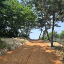 2025.09/06/58회차 대부도 해솔길 1코스(진행완료) 이미지