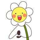 인천원예협동조합 이미지