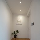 자파리203 이미지