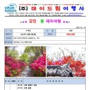 (주)마이여행사 네이버블로그