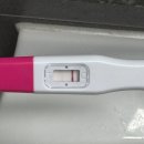 세종 권약국 | #8 임신준비ㅣ시험관 동결 2차ㅣ세종 트리니움 시험관 이식ㅣ시험관 이식 후 증상ㅣ2차 후기ㅣ유산바우처