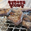 (주)양지투어