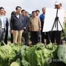 길주축산 연합뉴스