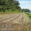 옛고을농장 이미지