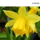 다미옷수선