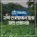 영천 연정 고택 | 영천 여행]고택 연꽃밭에서 힐링 &#39;영천 선원마을&#39; :: 영천 가볼만한곳, 영천선원마을, 임고서원...