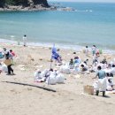 태안군청 이미지